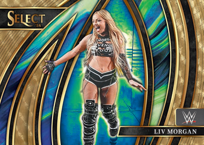 Break 117 - WWE - Select Hobby - PICK YOUR SUPERSTAR!